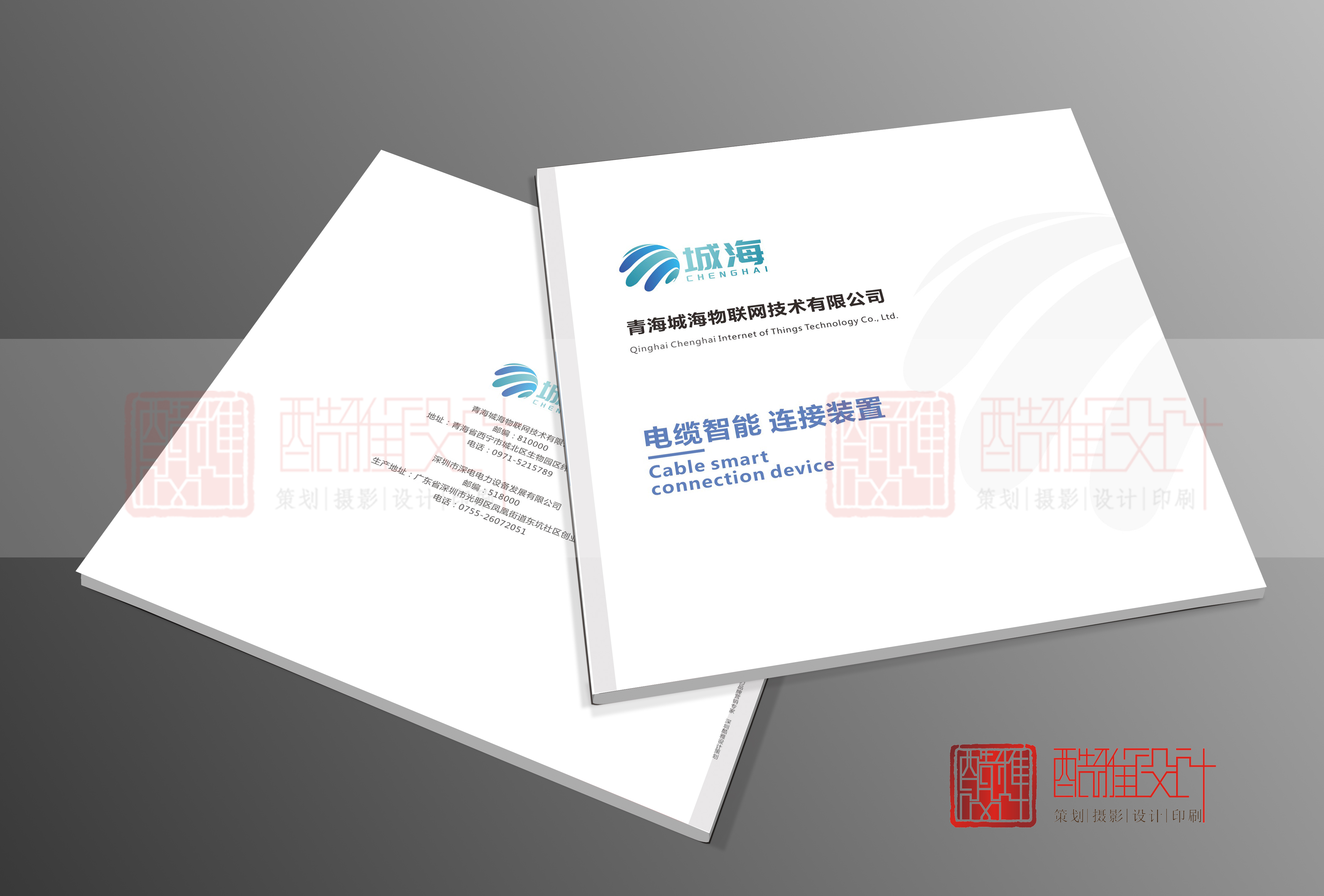 <strong>青海城海物聯網技術有限公司</strong>